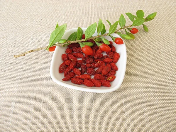 Bacche Goji Essiccate Wolfberry — Foto Stock