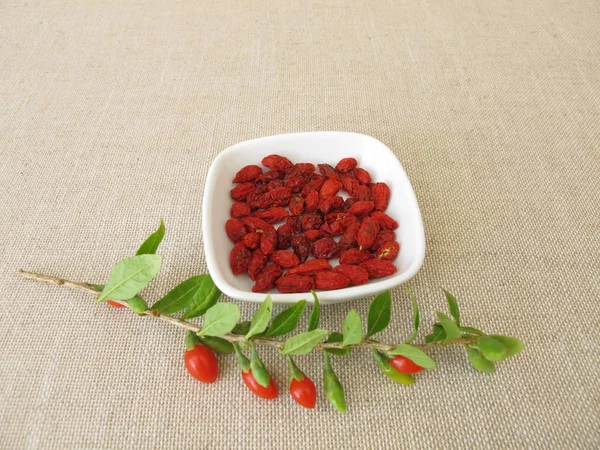 Getrocknete Goji Beeren Wolfbeere — Stockfoto