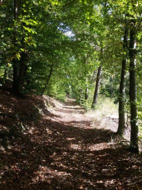 Sitzendorf ve Schwarzburg, Thüringen, Almanya arasında Schwarzatal 'da yürüyüş yolu