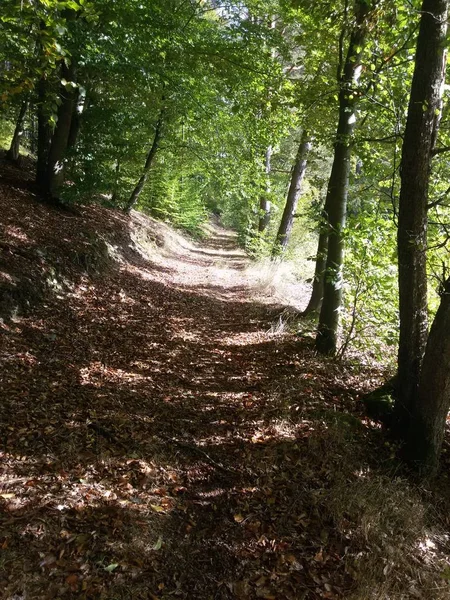 Hiking Trail Schwarzatal Sitzendorf Schwarzburg Thuringia Germany — Stock Photo, Image