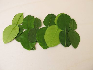 Taze kaffir limon yaprakları