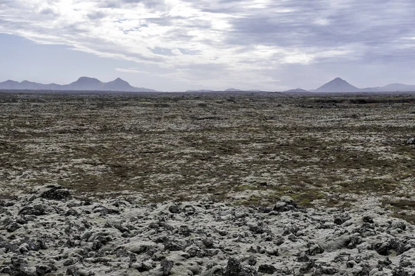 Old lava field — Stock Photo, Image