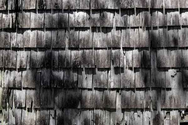 Versleten houten paneel — Stockfoto