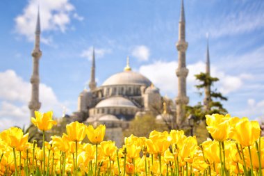 Lale Festivali Sultanahmet Meydanı ve Sultanahmet Camii, Istanbul