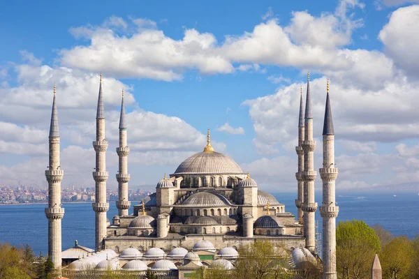 博斯普鲁斯海峡和马尔马拉海的蓝色清真寺或清真寺耶希尔 伊斯坦布尔 — 图库照片