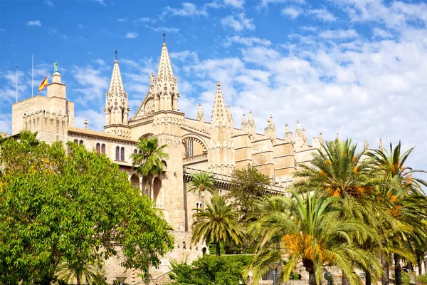 Cathedral de Mallorca Stock Photo
