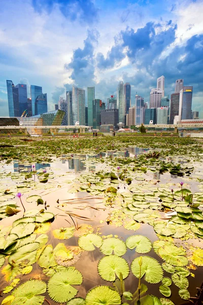 Skyline Singapura e Marina Bay distrito — Fotografia de Stock