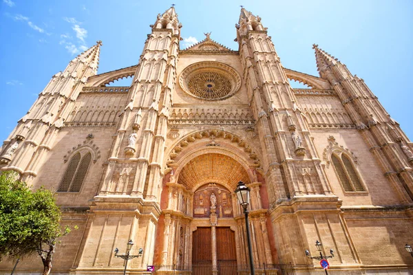 Cattedrale a palma de mallorca — Foto Stock