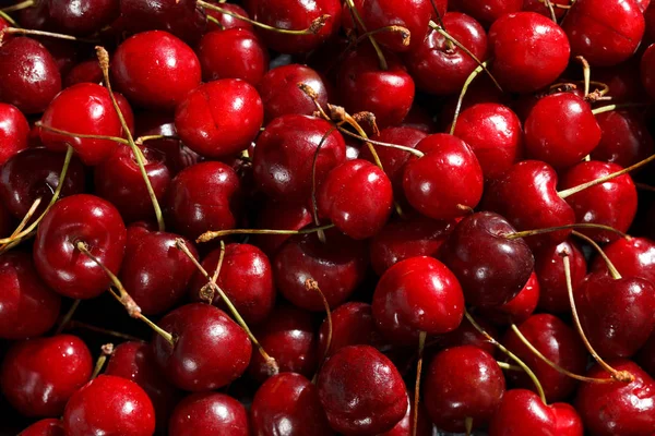 Red Ripe Cherry Closeup Photo Ripe Cherries — Stock Photo, Image