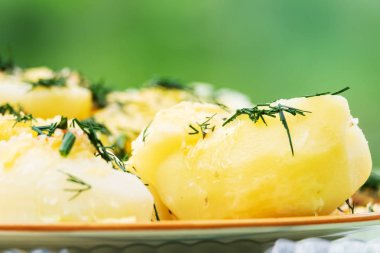 Haşlanmış patates dereotu bir plaka ile yakın çekim