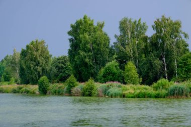 Kıyıya yakın yerde göl ve fırtına gökyüzü