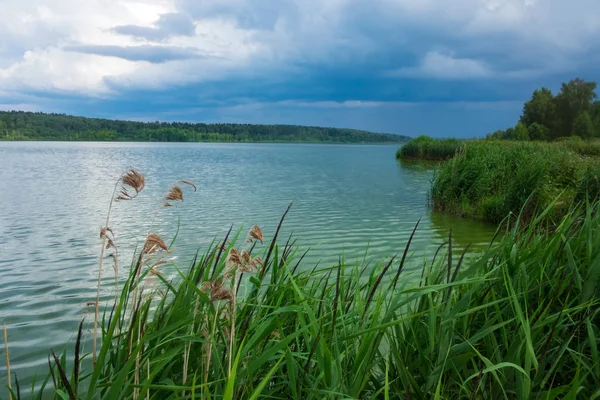 Orilla Cerca Del Lago Las Nubes Tormenta —  Fotos de Stock