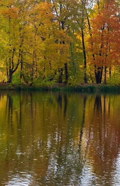 Фото Осенних Деревьев Озера — стоковое фото