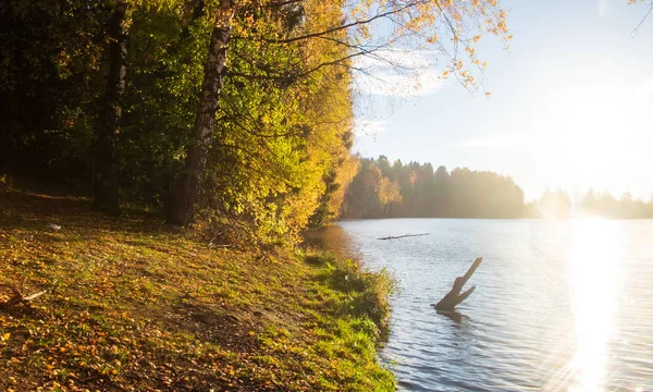 Fotoğraf Göl Sonbahar Ağaç — Stok fotoğraf