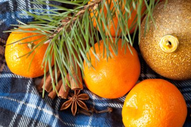 Güzel mandalina, tarçın ve bir çam dalı