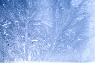 Penceresinde şekil frost. Kış desenleri Frost'un camına.