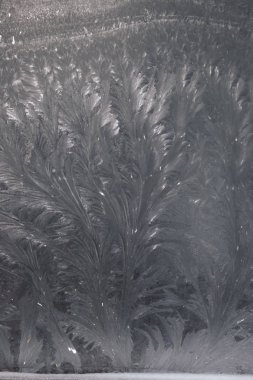 Penceresinde şekil frost. Kış desenleri Frost'un camına.