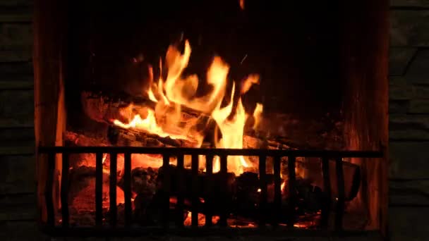 Fire in the fireplace — Stock Video
