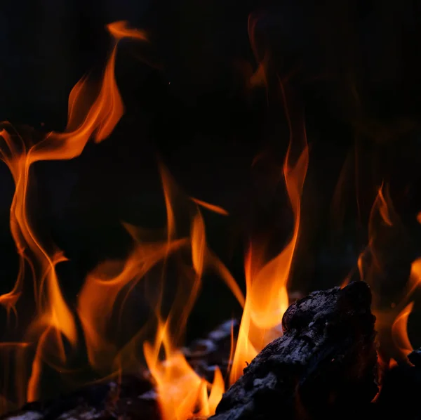 Burning log on a black background — Stock Photo, Image