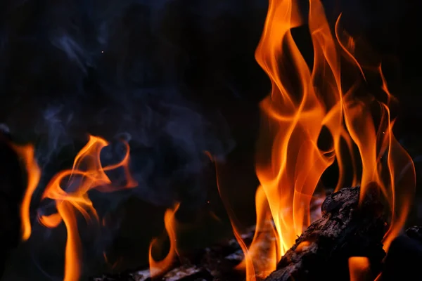 Burning log on a black background — Stock Photo, Image