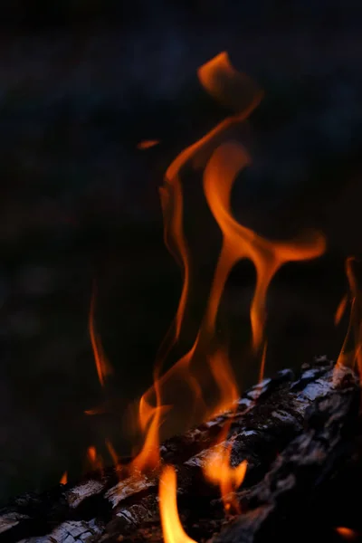 Burning log on a black background — Stock Photo, Image