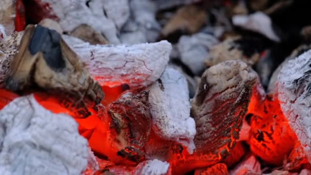 Burning embers close up — Stock Video