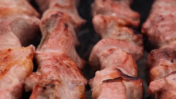 Assar carne suculenta e fumaça — Vídeo de Stock