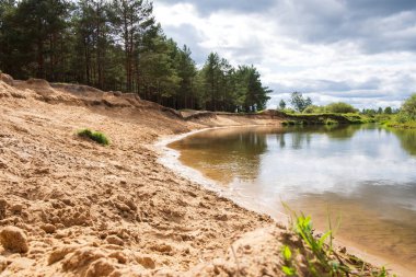nehir kıyısında kumlu plaj ve çam ağaçları