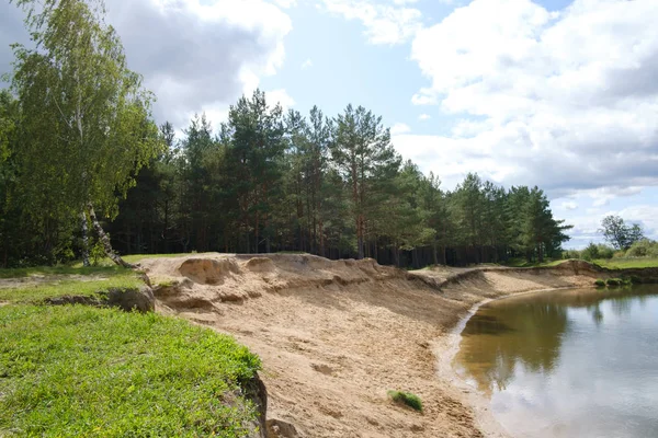 Playa de arena y pinos junto al río —  Fotos de Stock