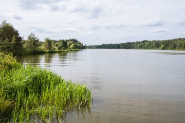 kıyıda çim ile geniş nehir 