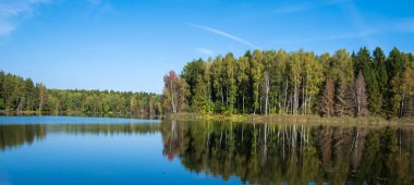 ormanda göl tarafından yaz günü