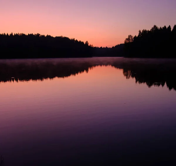 Восход солнца над озером в лесу — стоковое фото