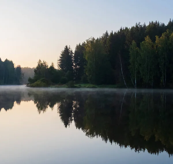 Mañana en el lago en el bosque —  Fotos de Stock