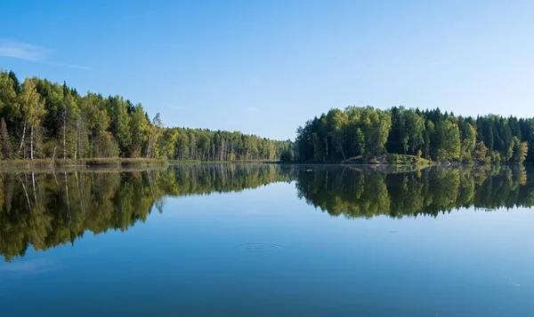 Sommardag vid sjön i skogen — Stockfoto