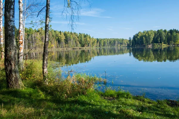 Lakeside in het bos — Stockfoto