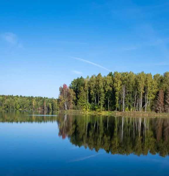 Día de verano junto al lago en el bosque —  Fotos de Stock