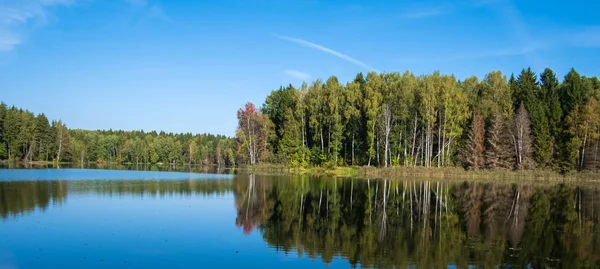 ormanda göl tarafından yaz günü