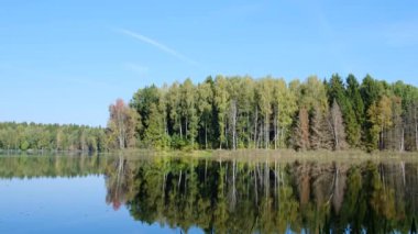 ormanda göl tarafından yaz günü