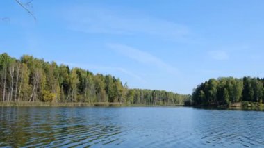ormanda göl tarafından yaz günü