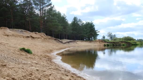 Playa de arena y pinos junto al río — Vídeo de stock