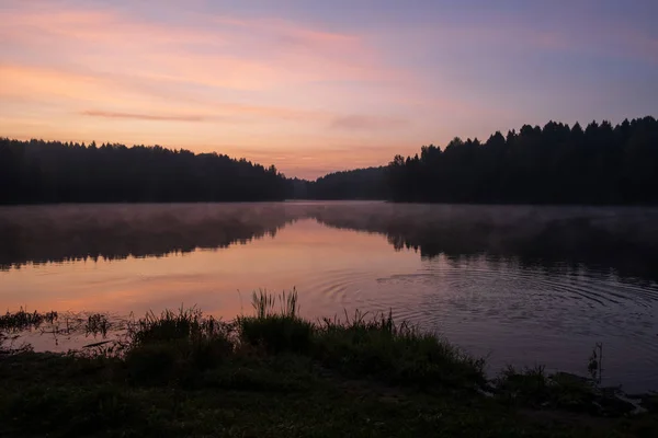 Ormandaki göl üzerinde gündoğumu — Stok fotoğraf