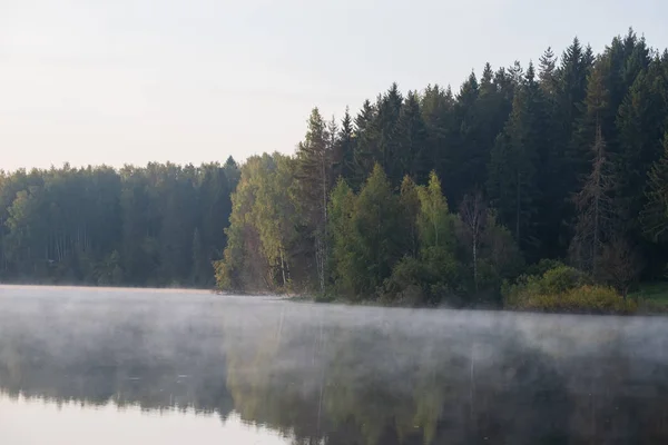 Temprano en la mañana con niebla en un lago en un bosque — Foto de Stock