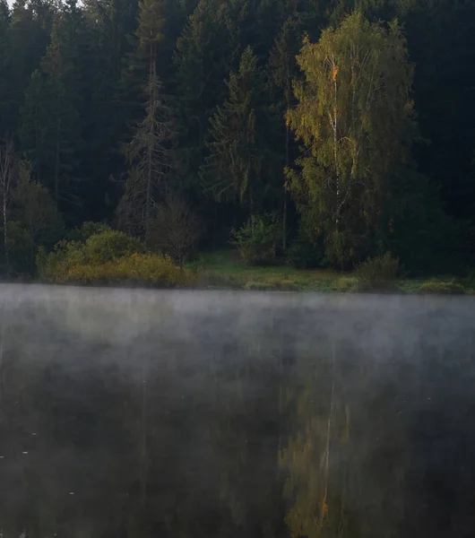 Temprano en la mañana con niebla en un lago en un bosque —  Fotos de Stock