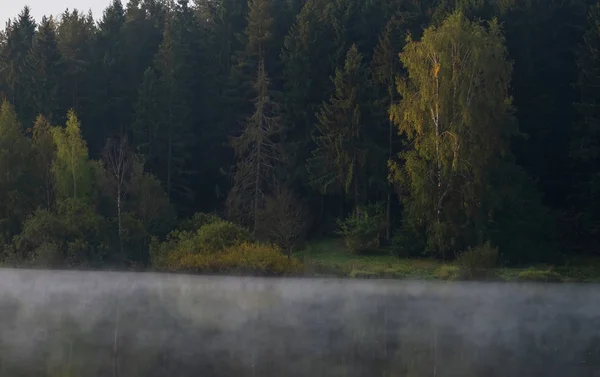 Νωρίς το πρωί με ομίχλη σε μια λίμνη σε ένα δάσος — Φωτογραφία Αρχείου