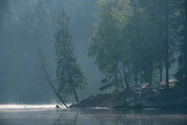清晨，森林中的湖面上有雾 — 图库照片