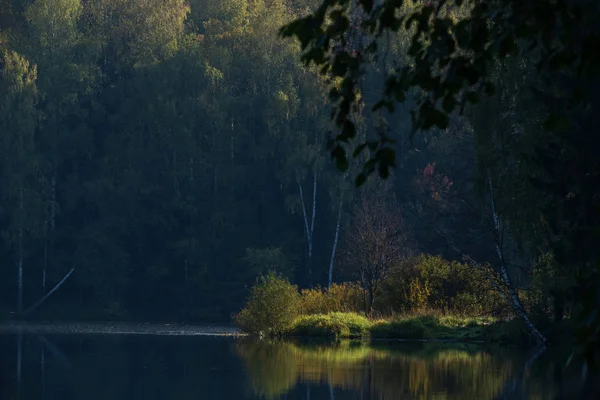 Рано вранці на озері в лісі — стокове фото