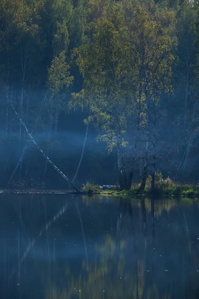 Frühmorgens auf einem See im Wald — Stockfoto