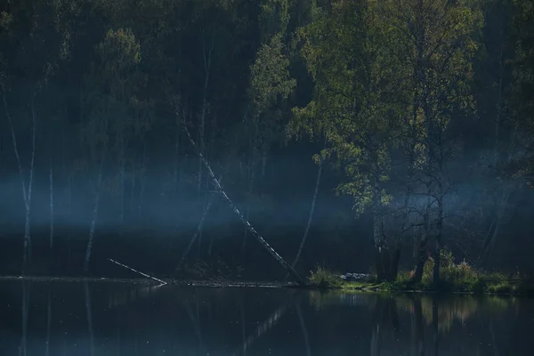 Temprano en la mañana en un lago en un bosque —  Fotos de Stock