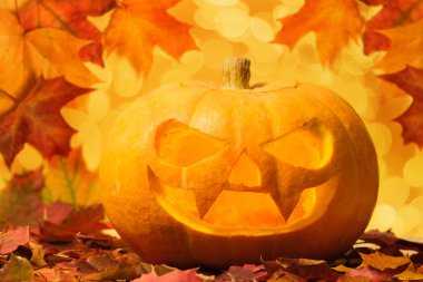 akçaağaç yaprakları ve bokeh ile oyulmuş halloween kabak 