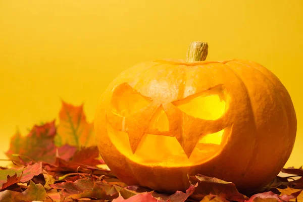 Carved halloween pumpkin on a yellow — Stock Photo, Image